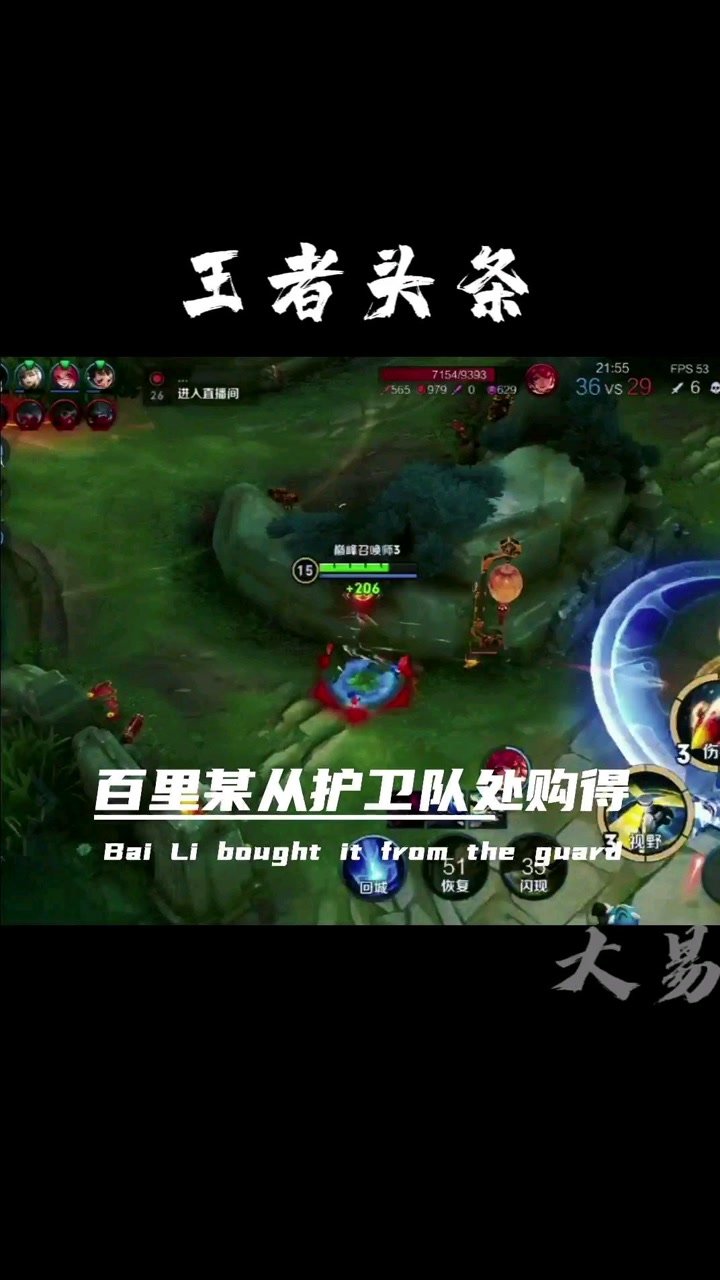 龙飞九五