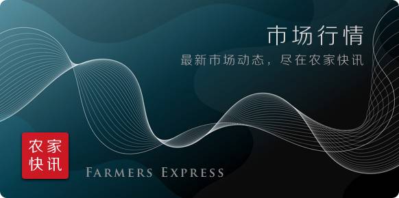 螺纹钢今日加价动态，市场走势深度分析与展望