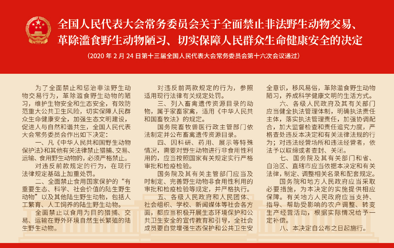 现场突发主持词，主持的突发情况和临场应变 