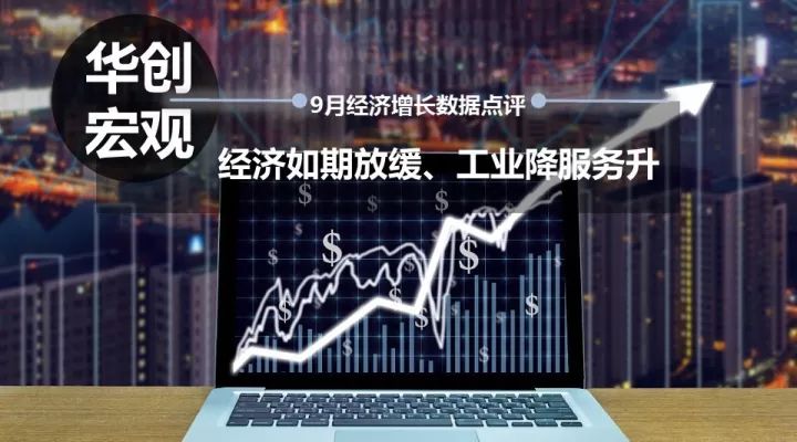 揭秘股市传奇，停牌最长股票背后的故事